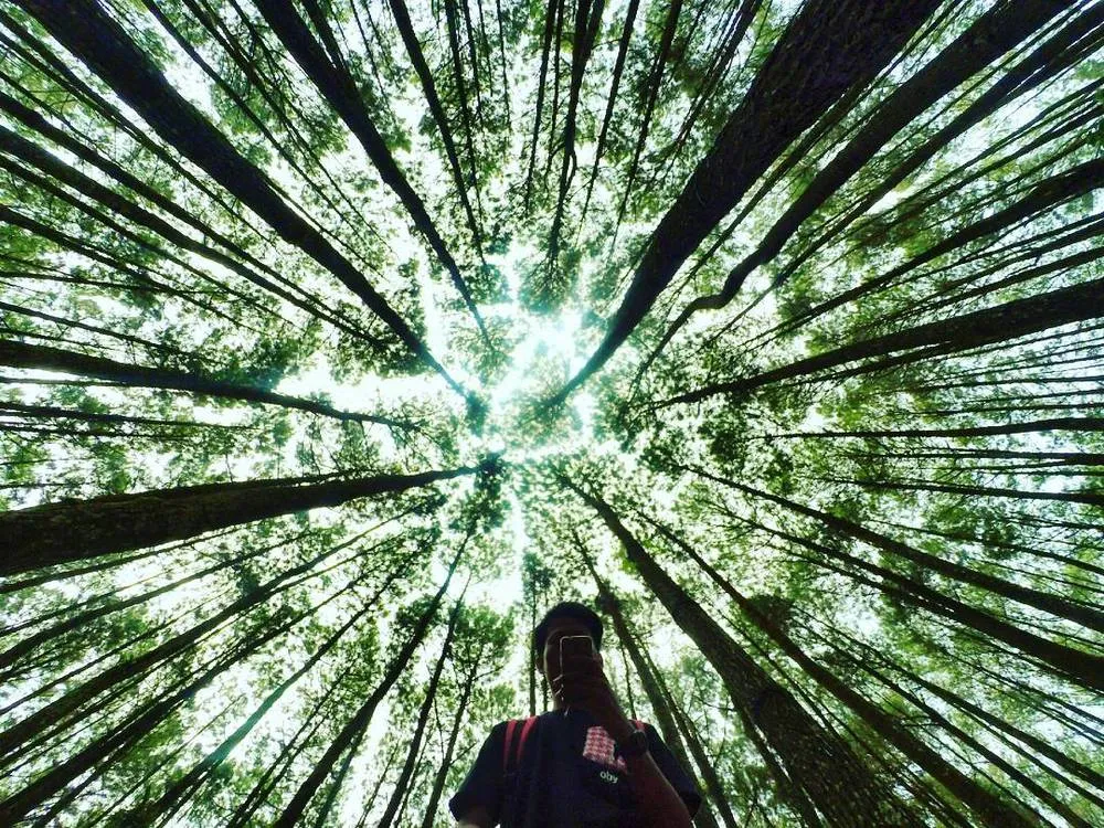 Media Sosial Punya Pengaruh Besar untuk Pariwisata. Ini 10 Lokasi yang Viral Gegara Instagram 18