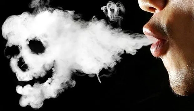 5 Penyebab Utama Rambut Beruban Di Usia Muda. Semua Orang Bisa Mengalami Ini Kalau Nggak Hati-Hati 6