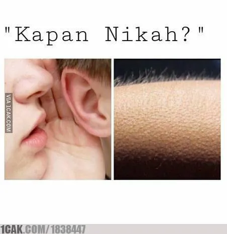 12 Meme Kocak Bin Receh Pengundang Tawa. Bahagia Mah Selalu Sederhana~ 15