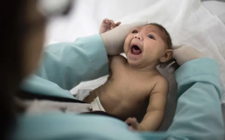 Bagi Kamu yang Liburan ke Singapura, Hati-hati ya. Jangan Sampai Pulang Bawa Virus Zika! 8