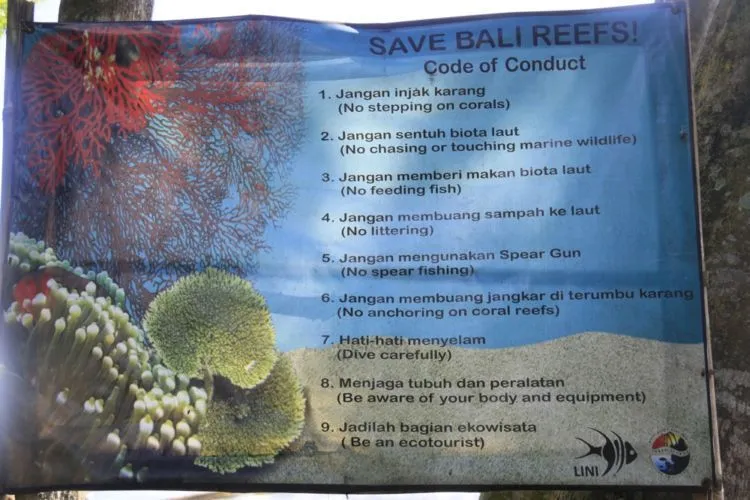 Laut Dirusak, Terumbu Karang Dikoyak-koyak. Ini Kenapa Ya Turis-Turis Kok Perilakunya Begitu Norak! 8