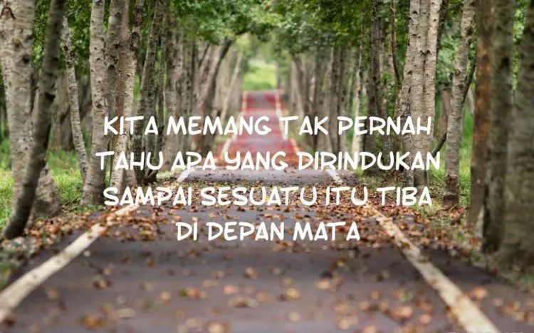 Quotes Tentang Menunggu Jodoh yang Belum Juga Datang. Renungkan Biar Hati Lebih Tenang 21