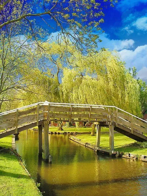 Perkenalkan, Desa Giethoorn, Negeri Dongeng dari Belanda. Desa yang Tak Punya Jalan Sama Sekali! 20