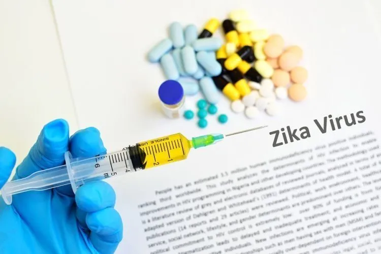 Bagi Kamu yang Liburan ke Singapura, Hati-hati ya. Jangan Sampai Pulang Bawa Virus Zika! 9