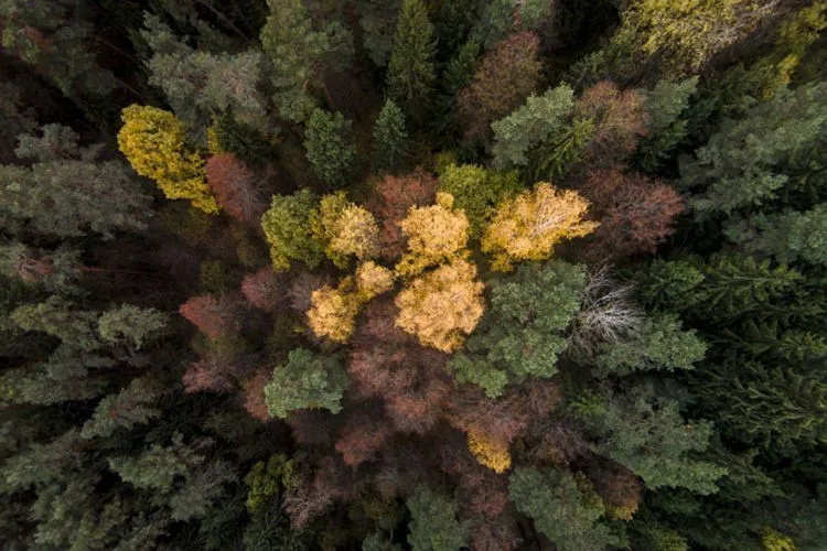 13 Foto yang Dramatis dan Kekinian Ini Diambil Menggunakan Drone. Gila, Keren Abis! 25