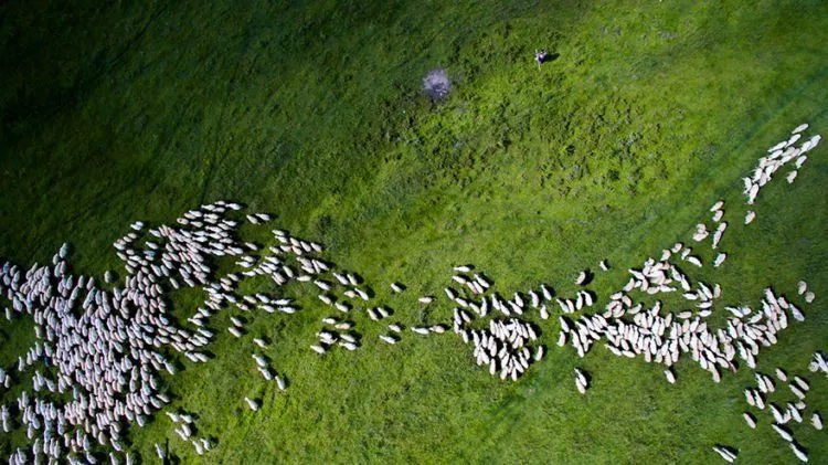 13 Foto yang Dramatis dan Kekinian Ini Diambil Menggunakan Drone. Gila, Keren Abis! 21