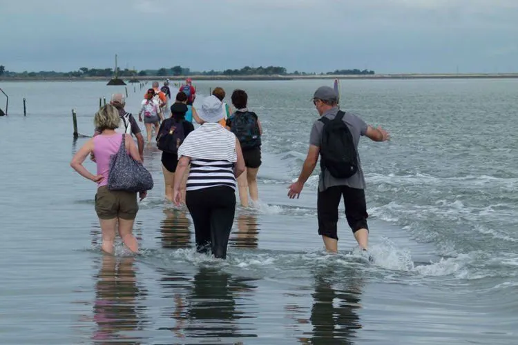 Aneh Tapi Nyata! Jalanan di Laut Perancis Ini Bisa Timbul Tenggelam. Kamu Berani Lewat Sana? 14