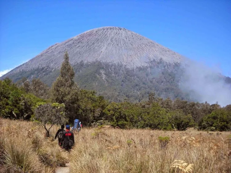 Begini Kronologis Pendaki Meninggal di Mahameru. Semoga Jadi Duka Terakhir di Gunung! 12