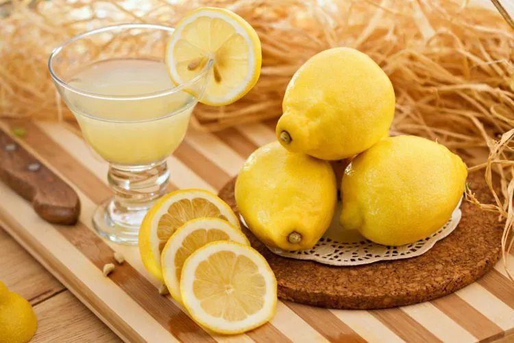 5 Bumbu Dapur Ini Ampuh Usir Kecoak yang Menganggu. Dear Cewek, Tentramlah Hidupmu! 8