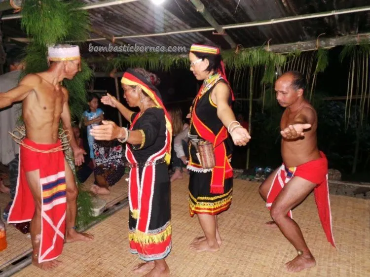 Kearifan Lokal Dayak Bidayuh Ini Cukup Serem. Nyobeng, Memandikan Tengkorak untuk Tolak Bala! 8