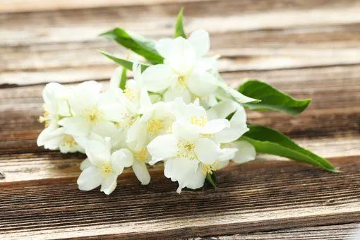 Selain Tahan Lama, 8 Wangi Parfum Ini Ampuh Jadi Mood Booster Kerja! 15