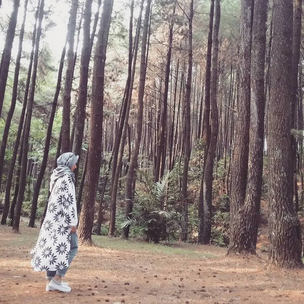 Digoda Pakai, 'Assalamualaikum Cantik...' Sama Sekali Tidak Lebih Baik Dari Diperkosa 5