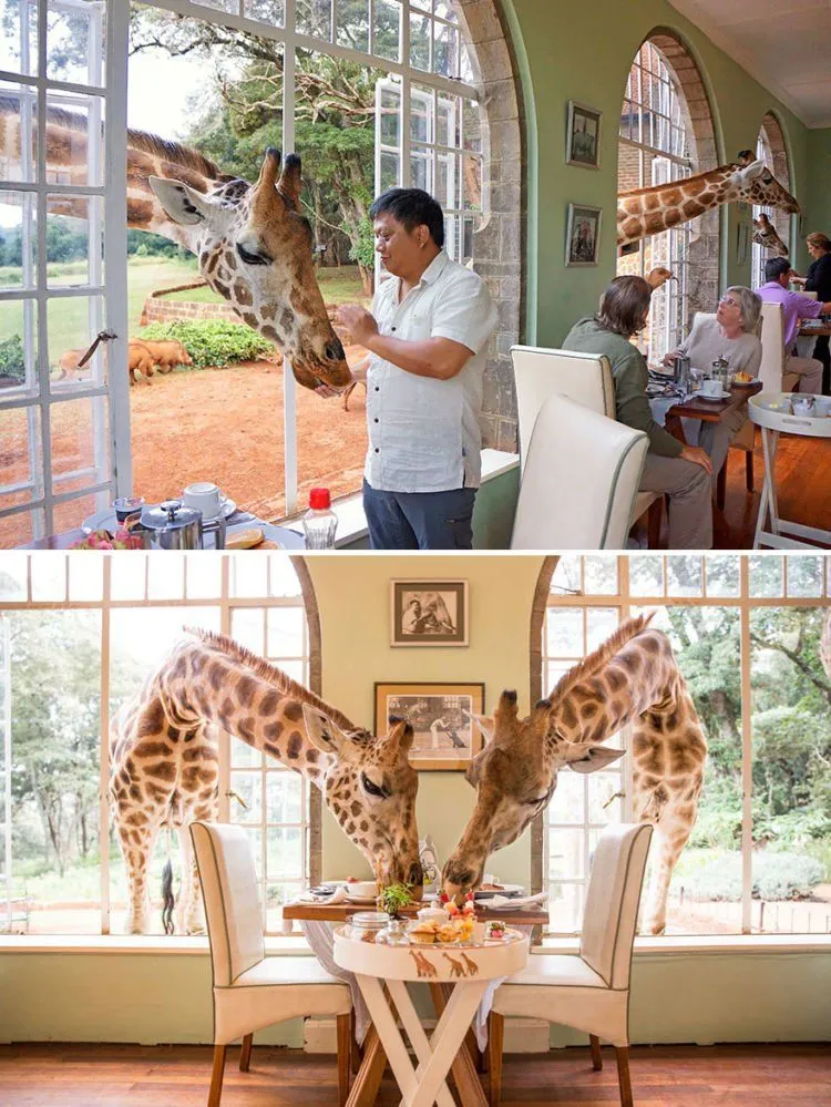 Ini Nih 15 Restoran Unik di Dunia yang Harus Kamu Kunjungi Setidaknya Seumur Hidup Sekali! 17