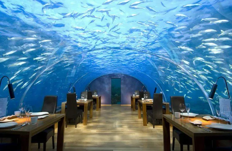 Ini Nih 15 Restoran Unik di Dunia yang Harus Kamu Kunjungi Setidaknya Seumur Hidup Sekali! 19