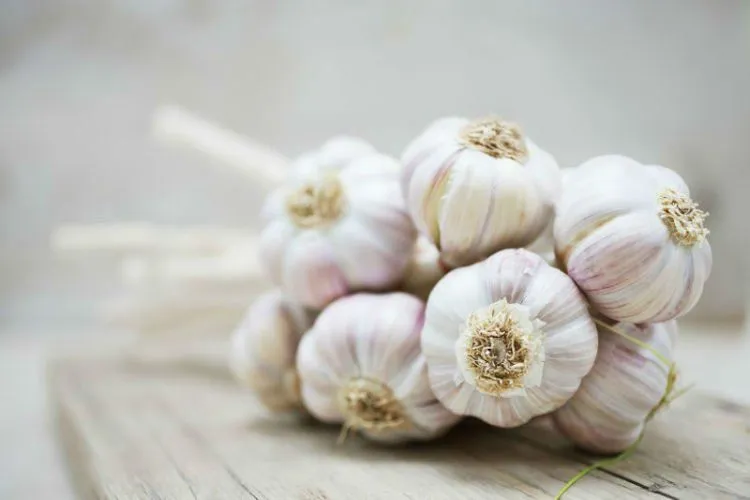 Nggak Cuma Wortel yang Baik Buat Kesehatan Mata, Tapi 7 Makanan Ini Juga! 9