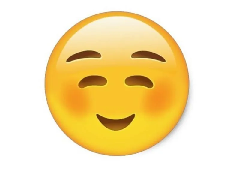 Penting Buat yang Lagi PDKT: Pahami Makna Emoji WhatApp Ini, Biar Harapanmu Nggak Sia-Sia 13