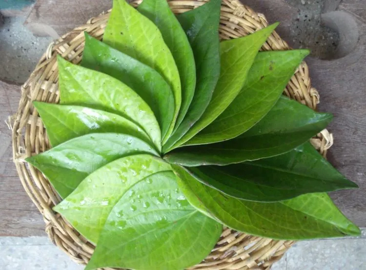 Say Good Bye Sama Dada Kendur Dengan 8 Masker Alami Racikan Sendiri Ini! 12