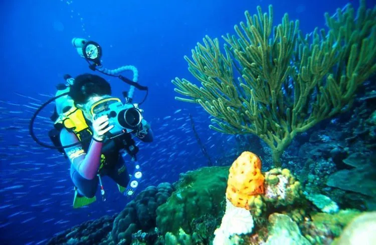 Oktober Ini Waktu Paling Tepat Liburan ke Papua. Bergabunglah dengan Festival Raja Ampat 2016 Segera! 11