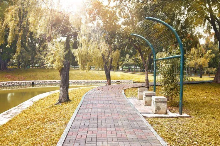 Jakarta Nggak Cuma Dufan dan Pulau Seribu Aja. Kunjungi 7 Taman Cantik Ini, Biar Hidupmu Makin Berwarna! 14