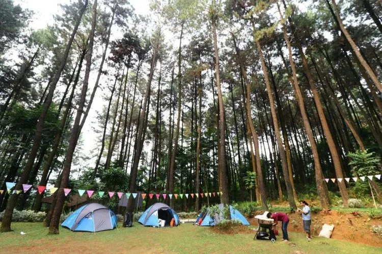 Wisata Alam Gunung Pancar, Hutan Pinus yang Asyik dan Bisa Dikunjungi Bersama Keluarga, Teman Atau Pacar 8