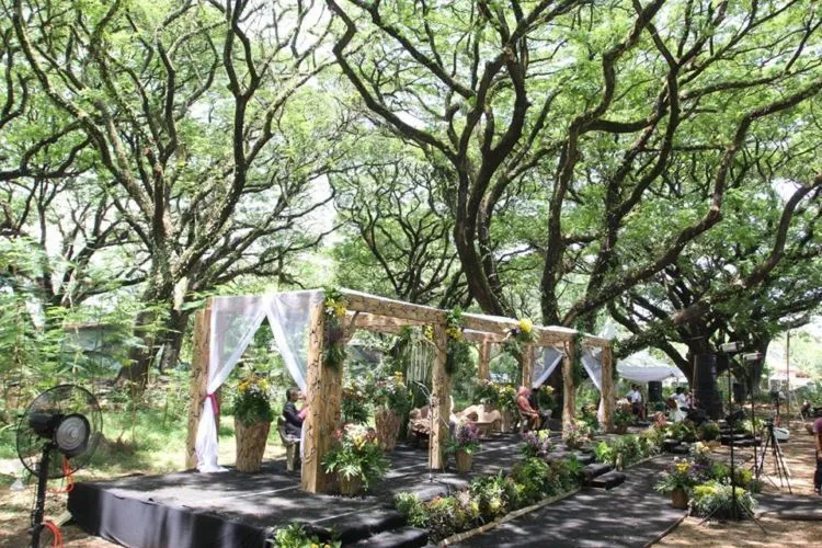 Rustic Wedding, Gaya Resepsi yang Masih Terbilang Baru di Indonesia. Simak 10 Inspirasi Ini 12