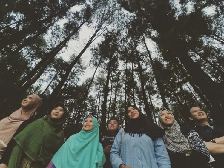 Wisata Alam Gunung Pancar, Hutan Pinus yang Asyik dan Bisa Dikunjungi Bersama Keluarga, Teman Atau Pacar 12
