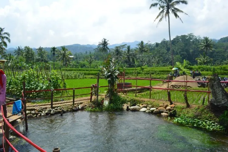 Subang Ternyata Punya Surga Tersembunyi. Mata Air Cimincul, Wisata Baru yang Harus Kamu Datangi! 6
