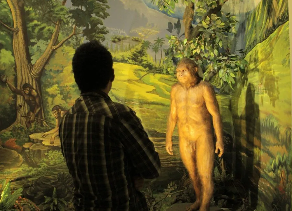 Museum Sangiran, Tempat Manusia Purba Bersemayam. Mengajakmu Berpetualang ke Jutaan Tahun Silam! 8