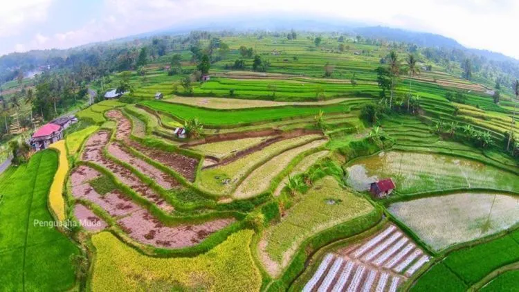 Selain di Bali, Ada Juga Desa Tradisional Nagari Pariangan, yang Masuk Sebagai Desa Terindah Di Dunia! 13