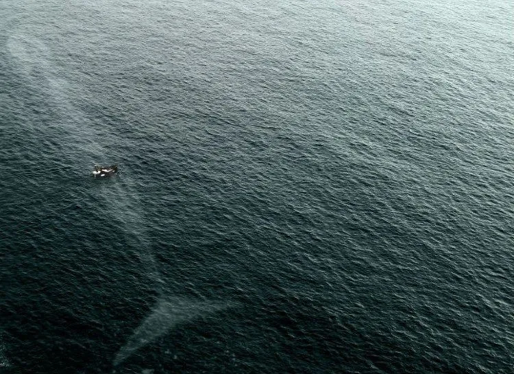 Foto-Foto ini Jadi Bukti bahwa Laut itu Penuh Misteri, Jangan Dilihat kalau Nggak Pengen Jiper Main ke Laut Lagi 13