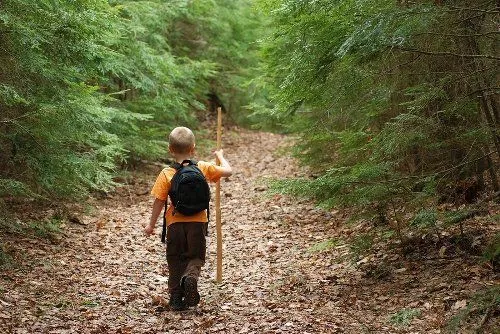 Pendaki Harusnya Belajar dari Balita yang Survive di Hutan Sendirian. Biar Nggak Ada Lagi Kematian 9
