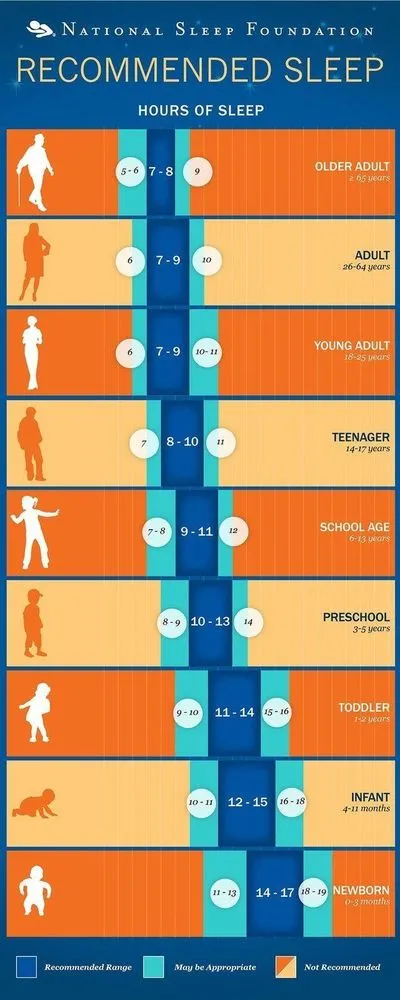 10 Gambar dan Diagram Keren Ini Bikin Tidurmu Jadi Lebih Nyenyak dan Berkualitas, Bangun pun Bahagia 11