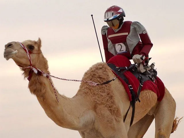 Fakta Mengenai Dubai, Uni Emirat Arab! Di Sana Kamu Bakal Nemu Hal-hal Gila yang Sulit Dipercaya! 19