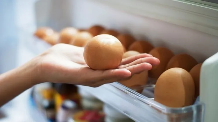 Dear Calon Ibu Muda, Inilah 10 Cara Menyimpan Makanan Dalam Kulkas yang Sebenarnya 15