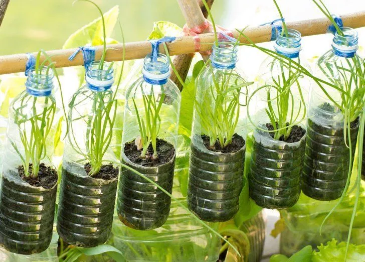 Bukan Sekadar Sampah, Kreasi-kreasi dari Botol Bekas Ini Memiliki Nilai Jual Tinggi! 11