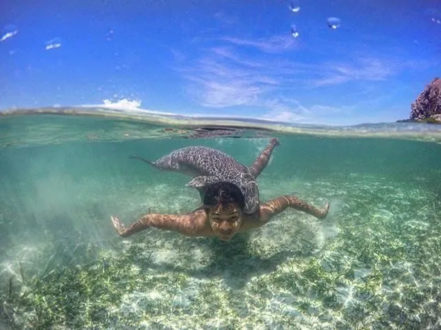 Yuk Belajar Teknik Split Underwater Photography yang Lagi Hits! Paduan Foto Dua Dunia yang Memesona 9