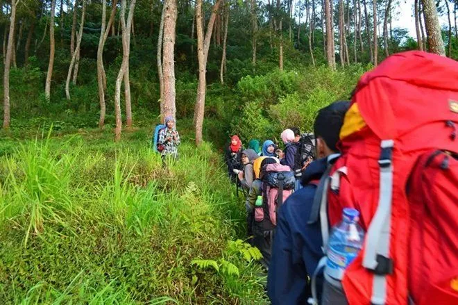 Suara Macan Muncul di Gunung Ciremai. Tanda Habitatnya Sudah Terusik dengan Ramainya Manusia! 8