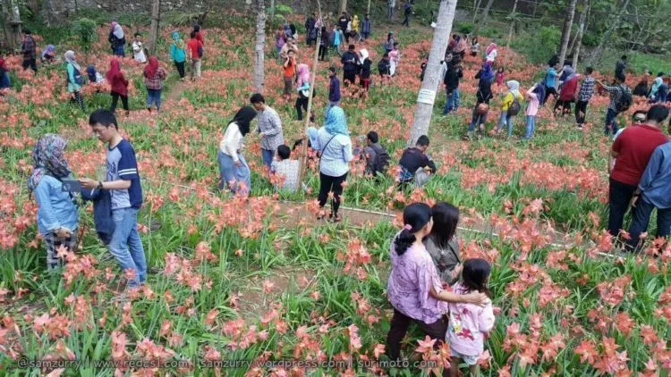 Traveler Jaman Sekarang Sudah Nggak Peduli Alam. Traveling Kok Cuma Buat Update Socmed Doang! 8