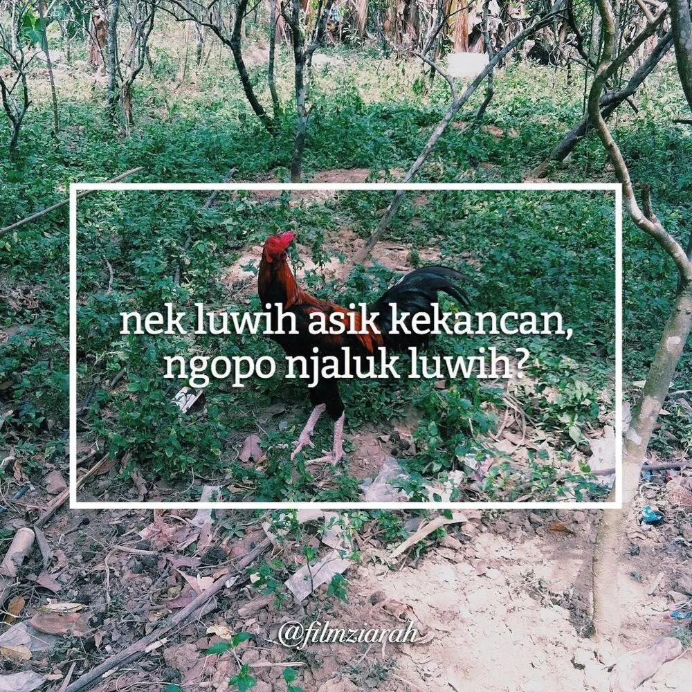 18 Visual Baper-baperan Ala Jawa. Bikin Hati 'Mak Tratap' dan Ketawa! 25