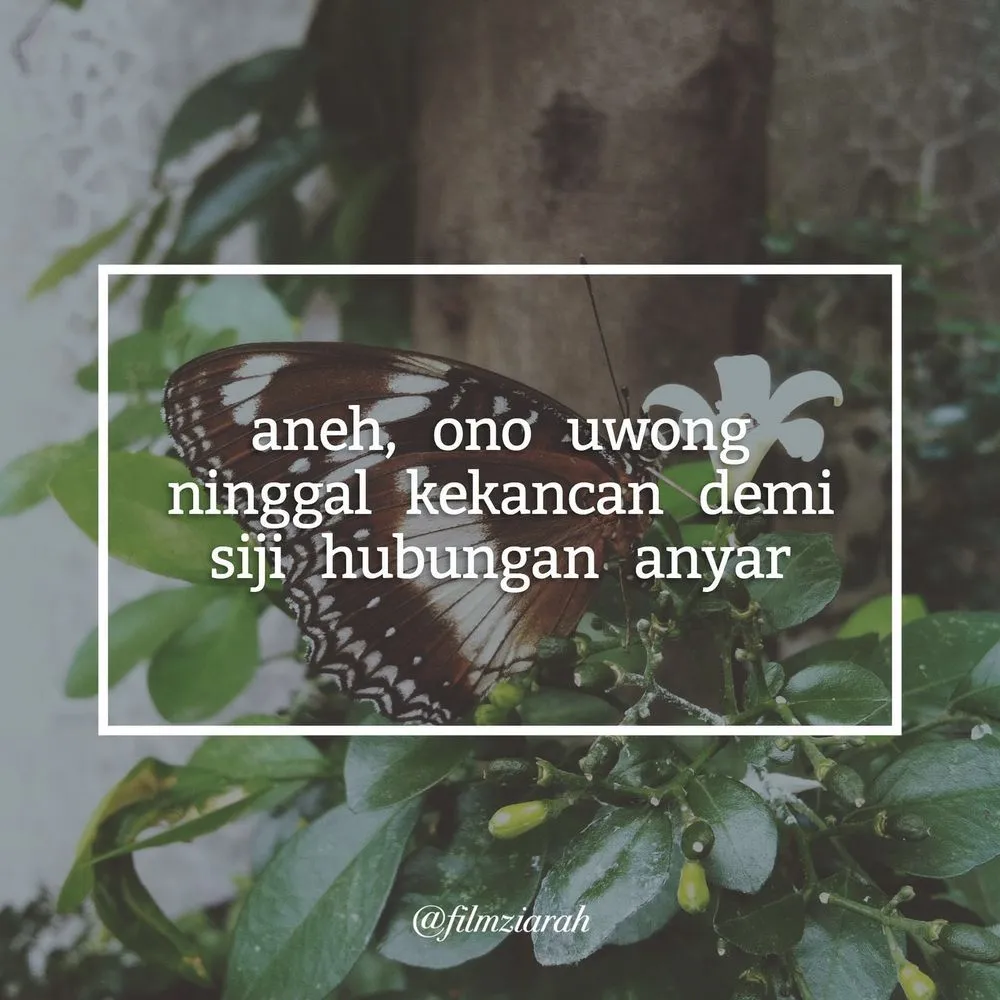 18 Visual Baper-baperan Ala Jawa. Bikin Hati 'Mak Tratap' dan Ketawa! 24