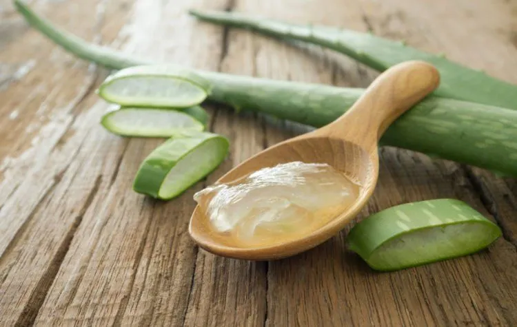 9 Bahan Alami Ini Ampuh Usir Ketombe dan Bakteri di Kulit Kepalamu. Bye-bye Gatal ~ 12
