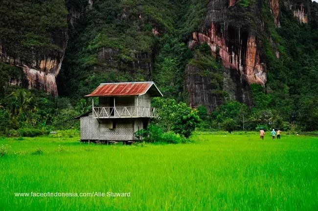 Selain di Bali, Ada Juga Desa Tradisional Nagari Pariangan, yang Masuk Sebagai Desa Terindah Di Dunia! 8