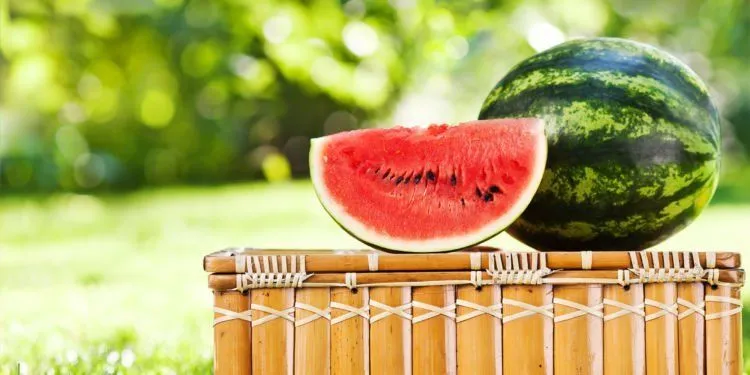 10 Makanan yang Aman Dikonsumsi Setelah Jam 8 Malam; Kenyang Tapi Nggak Bikin Melar 17