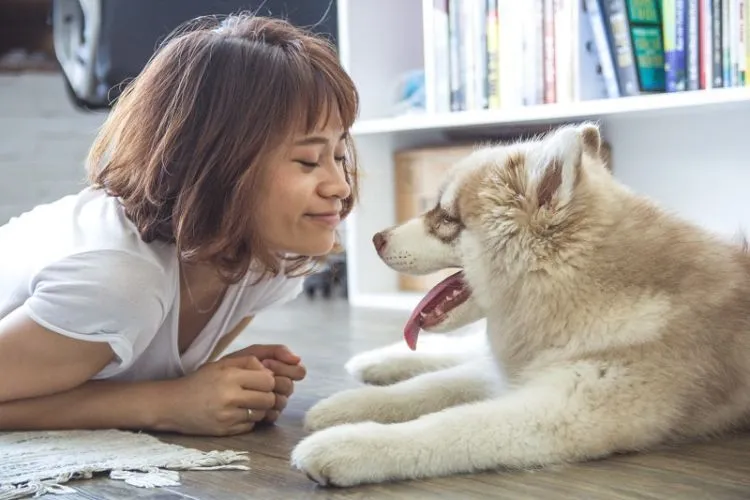 Tak Perlu Miris Meski Dompet Tiris. Hai Anak Kos, Masih Ada Sejuta Cara Biar Tetap Hidup Berkualitas 16