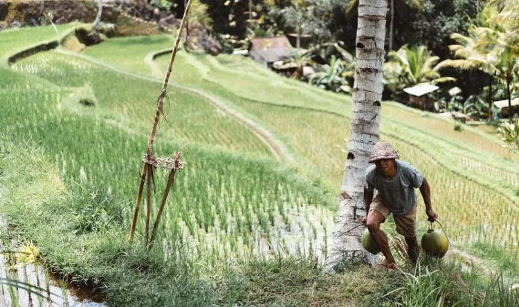 Nggak Ada Jalan Pintas Kaya yang Nggak Bikin Dosa. Kasus Dimas Kanjeng Ini Jadi Bukti Terbarunya! 8