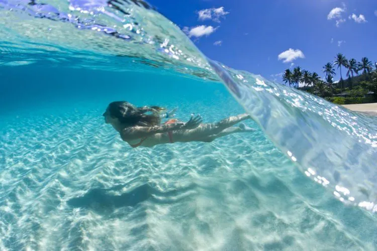 Yuk Belajar Teknik Split Underwater Photography yang Lagi Hits! Paduan Foto Dua Dunia yang Memesona 12