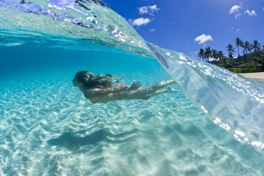 Yuk Belajar Teknik Split Underwater Photography yang Lagi Hits! Paduan Foto Dua Dunia yang Memesona