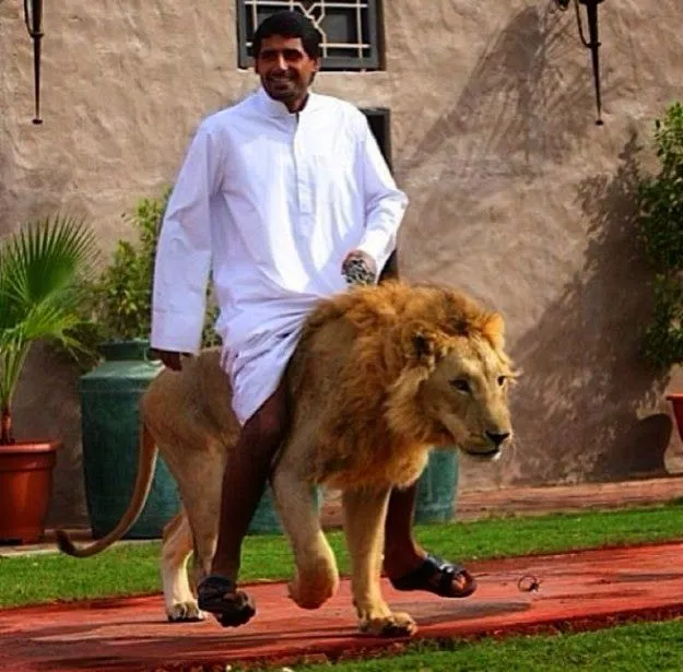Fakta Mengenai Dubai, Uni Emirat Arab! Di Sana Kamu Bakal Nemu Hal-hal Gila yang Sulit Dipercaya! 16