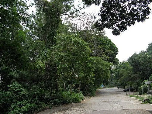 Kisah Hantu Si Boneka Uci di Jalan Siliwangi. Kamu Orang Bandung Pasti Hafal Cerita Ini 7