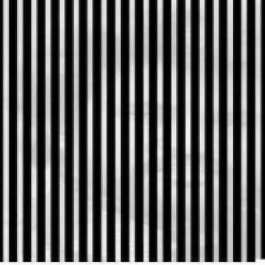 Ternyata Ada Sesuatu yang Muncul dari 13 Gambar Ini Saat Ponselmu Digoyangkan Perlahan, Coba Aja! 19
